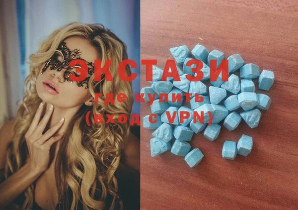 ECSTASY Богородицк